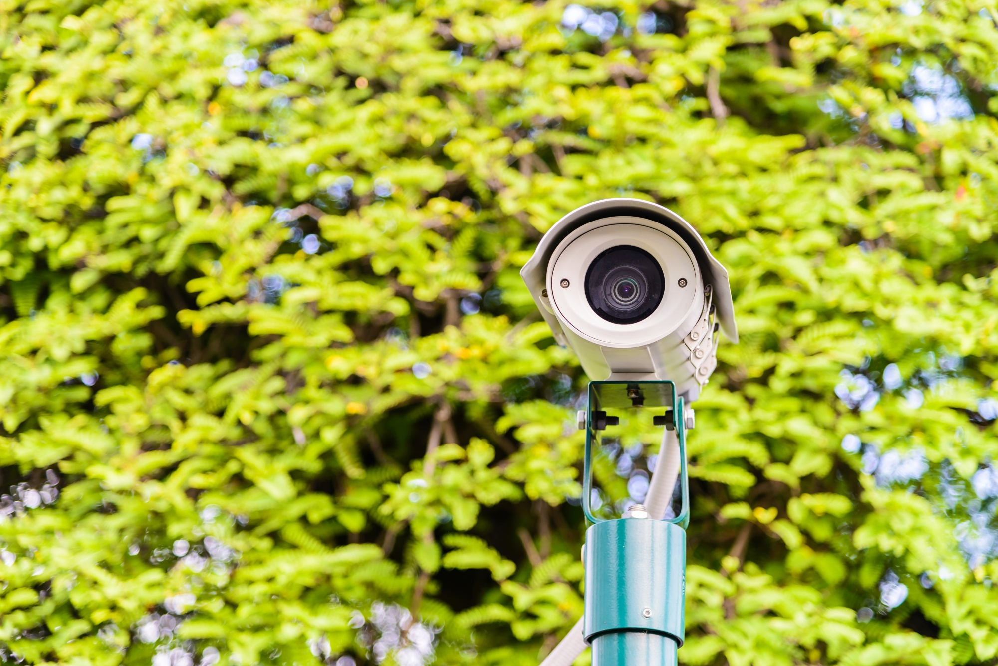 Professionele camerainstallatie door Ribbink Techniek
